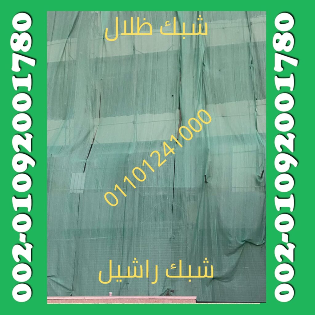 شبك راشيل 11