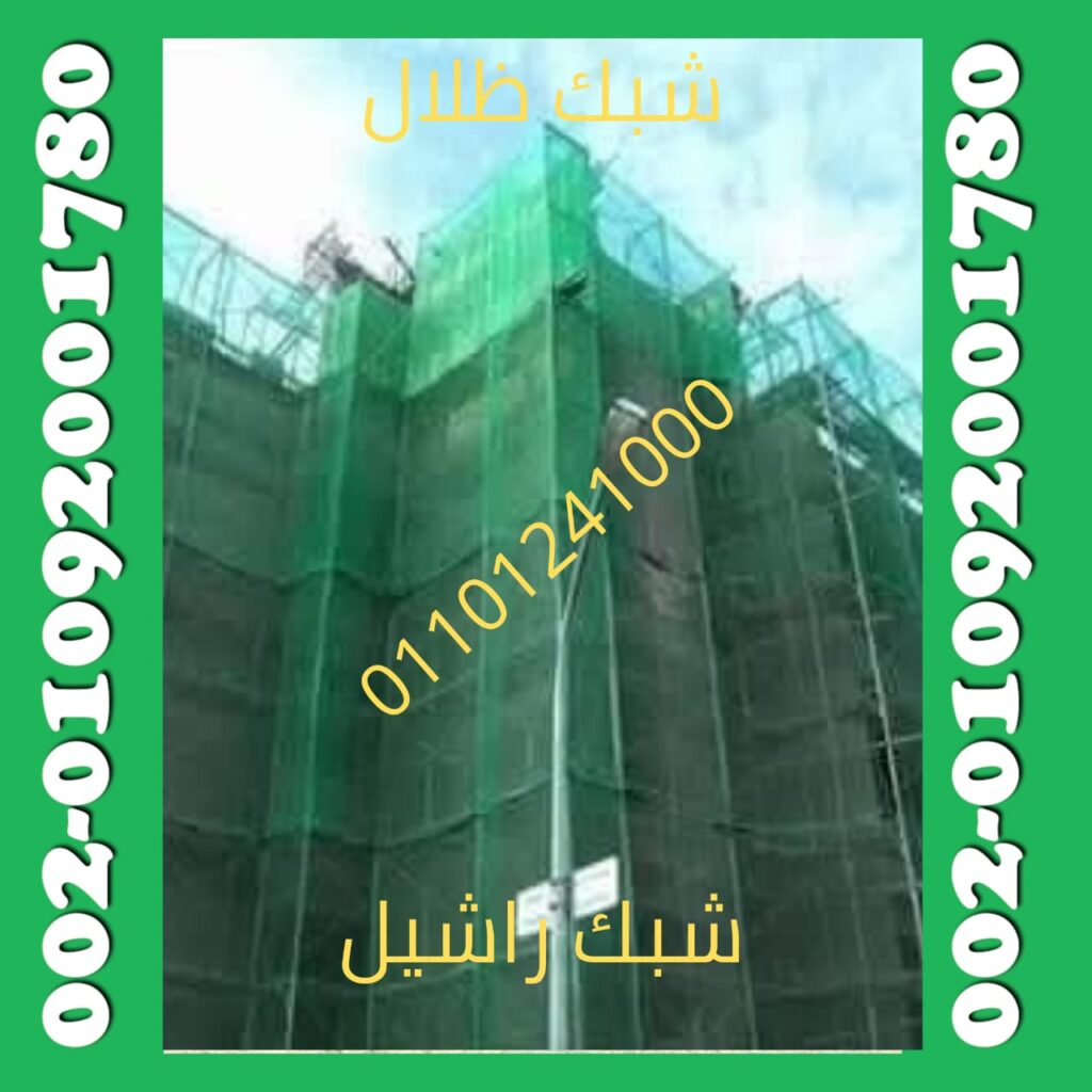 شبك راشيل 12