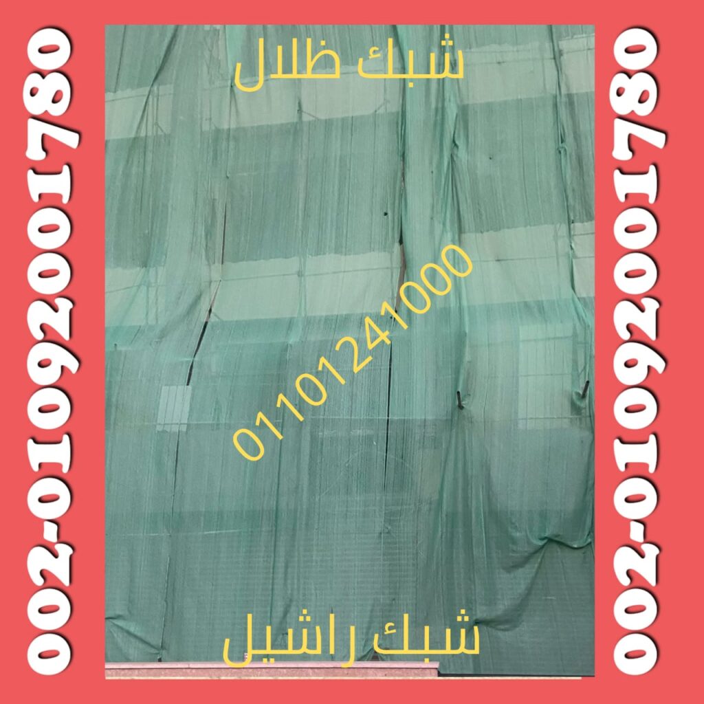 شبك راشيل 13