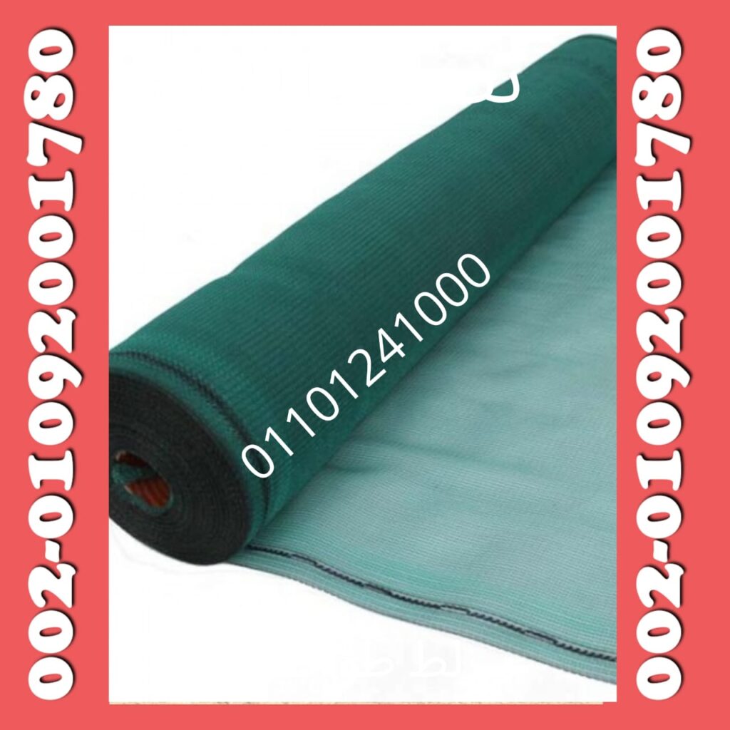 شبك راشيل 16