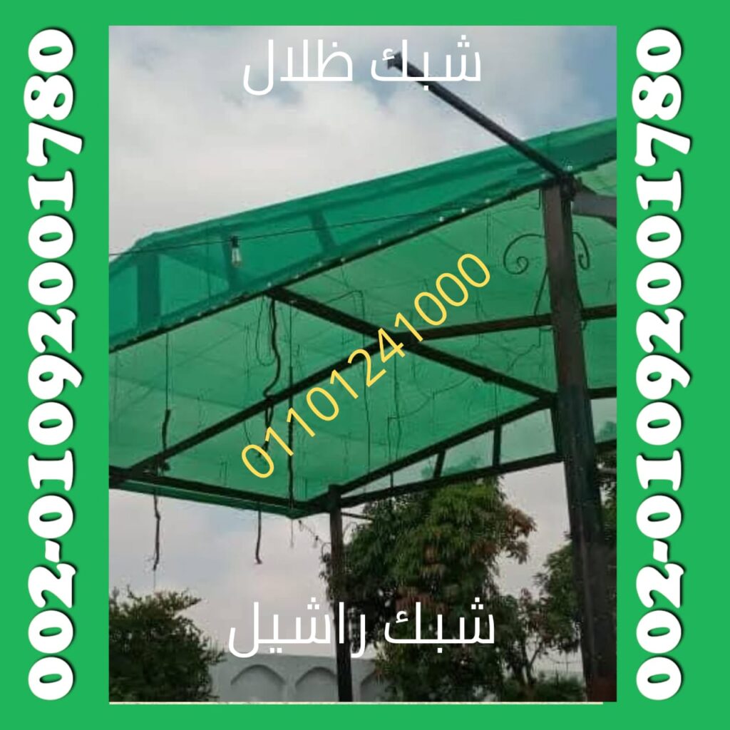 شبك راشيل 17